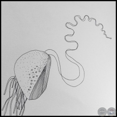 Sin título - Dibujo de Otilia Heimat